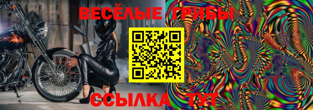 Псилоцибиновые грибы MAGIC MUSHROOMS  Вход с VPN  Каменск-Уральский 