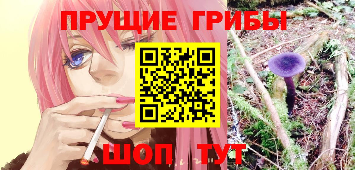 Галлюциногенные грибы мухоморы Каменск-Уральский